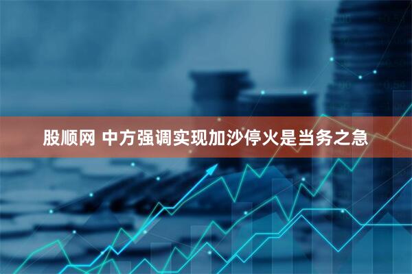 股顺网 中方强调实现加沙停火是当务之急