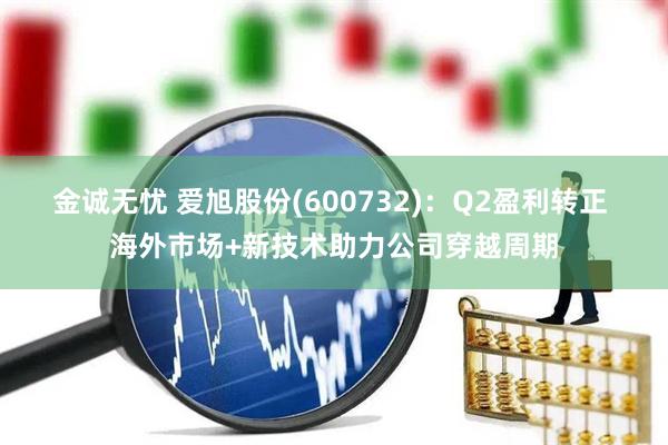 金诚无忧 爱旭股份(600732)：Q2盈利转正 海外市场+新技术助力公司穿越周期